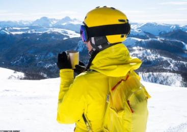 车队与车手支持